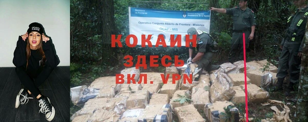ПСИЛОЦИБИНОВЫЕ ГРИБЫ Абинск