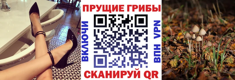Галлюциногенные грибы Cubensis Балаково