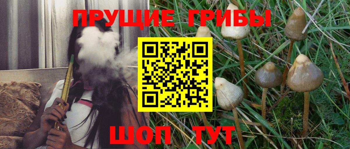 Балаково  Галлюциногенные грибы мицелий  где купить   Вход с VPN  Псилоцибиновые грибы мицелий 